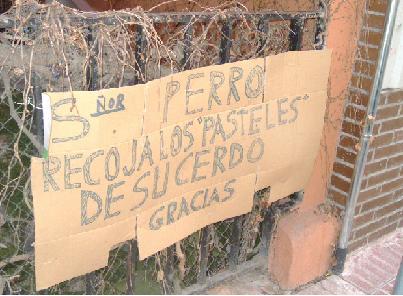 pasteles perro peque.JPG